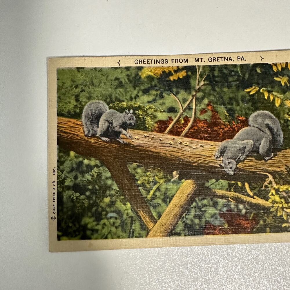 Vintage Nature Mt. Gretna PA Postcard With 2 Rare Washington 1 cent stamps - Picture 2 of 6
